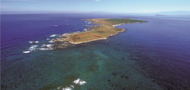 Marine data sardinia