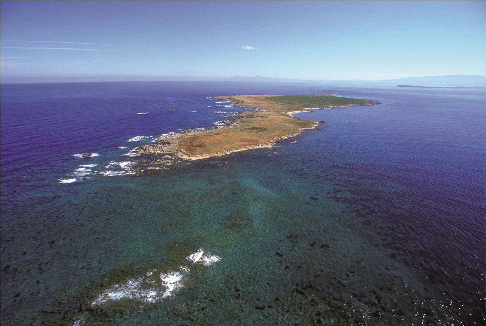 Marine data sardinia